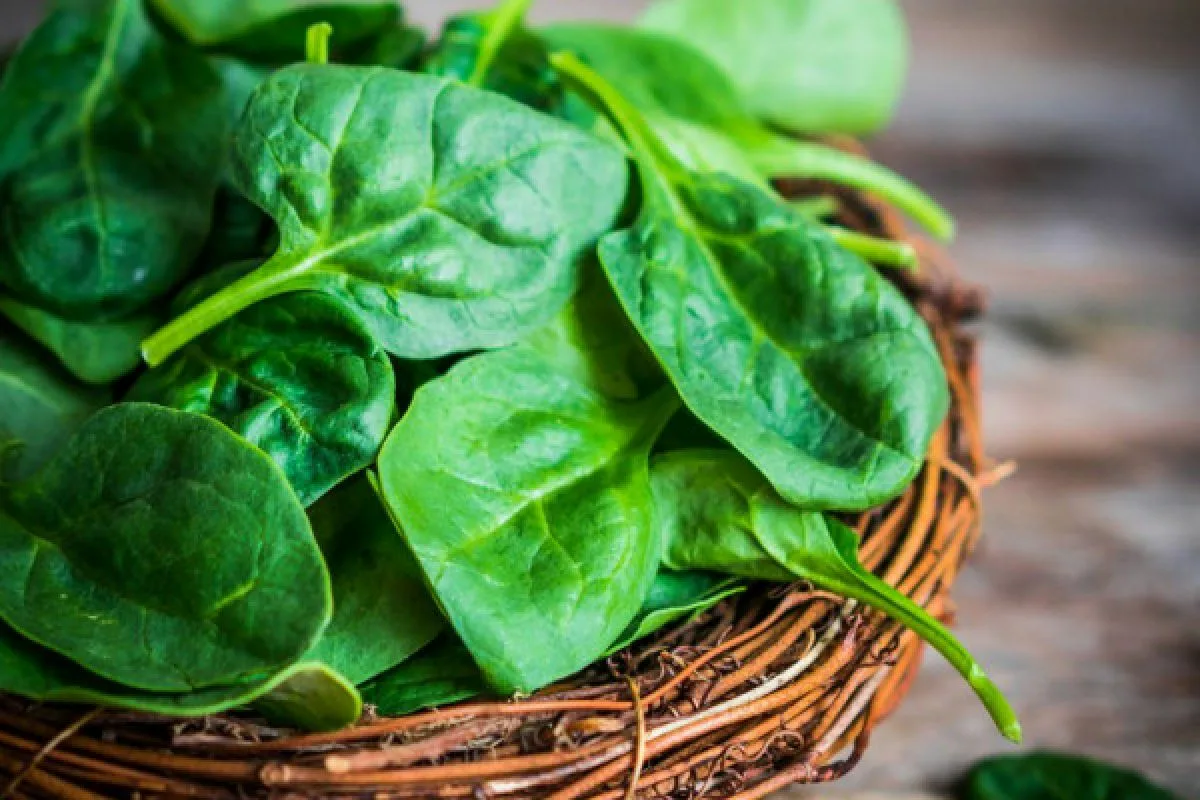 Canastitas di spinaci e formaggio: un’esplosione di gusto!