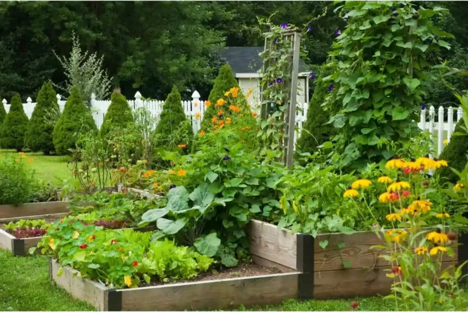 L’Aceto in Giardino: Non Solo per le Erbacce, un Cucchiaio Rivoluziona il Raccolto
