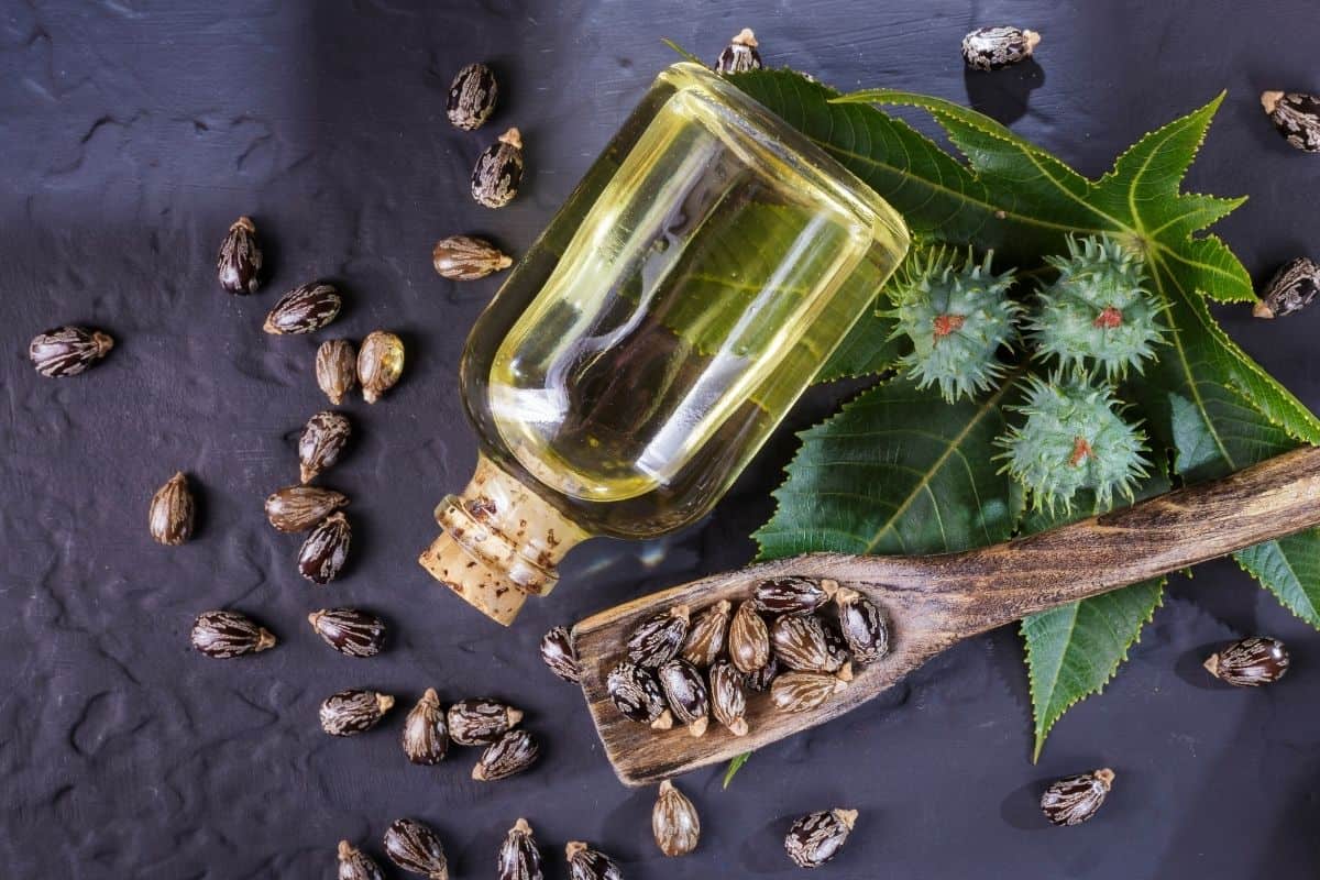 L’olio magico per far crescere le ciglia in modo naturale