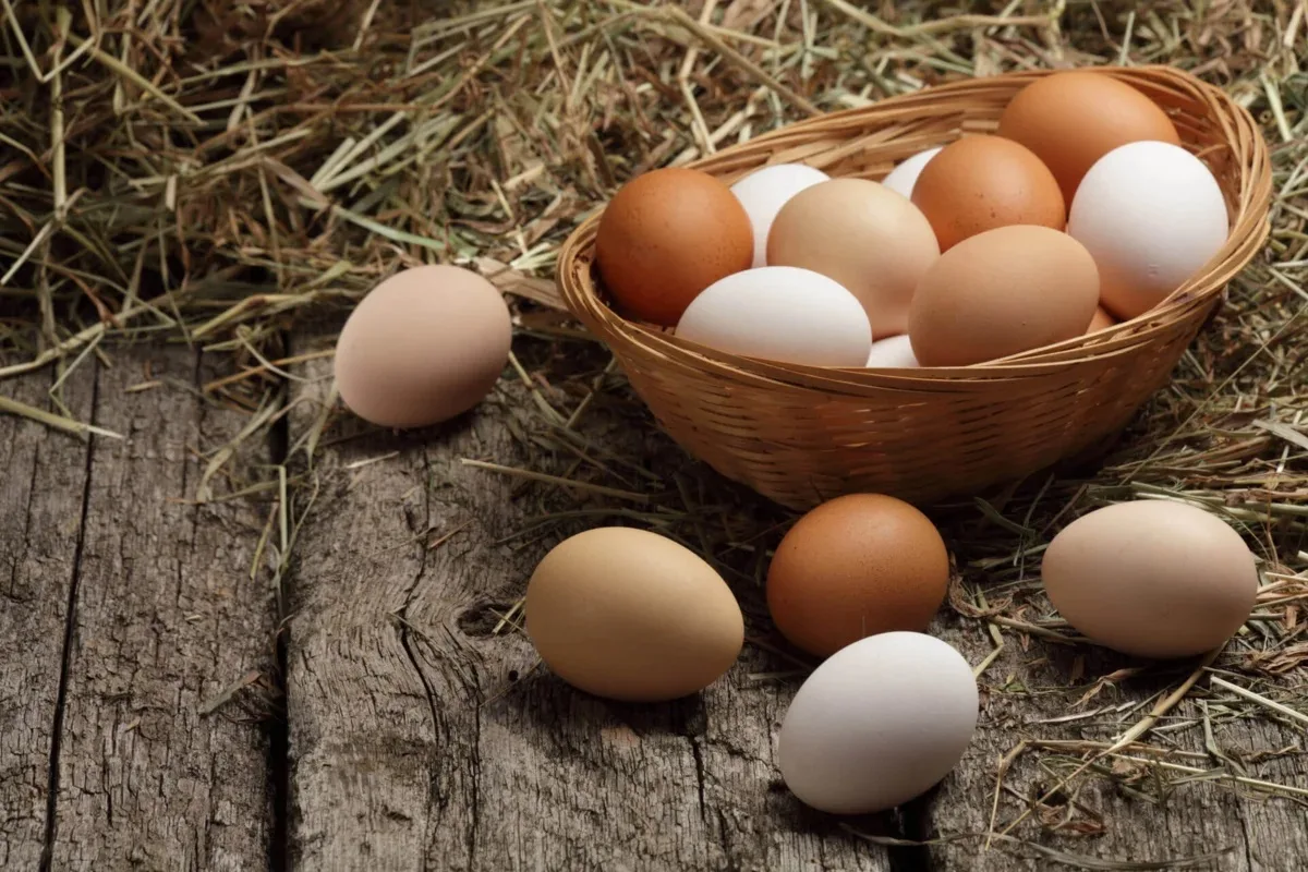 Quanti Uova Mangiare al Giorno per Migliorare la Salute del Cervello