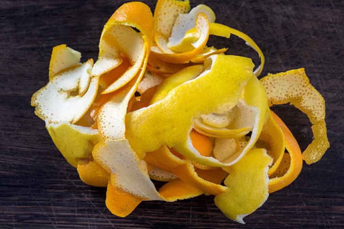 Come Allontanare i Topi dal Giardino con un Ingrediente che Hai in Casa