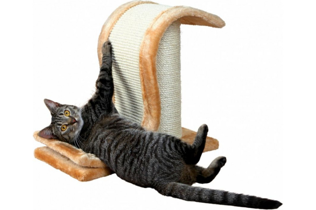 Come Smettere di Far Graffiare il Gatto sui Mobili