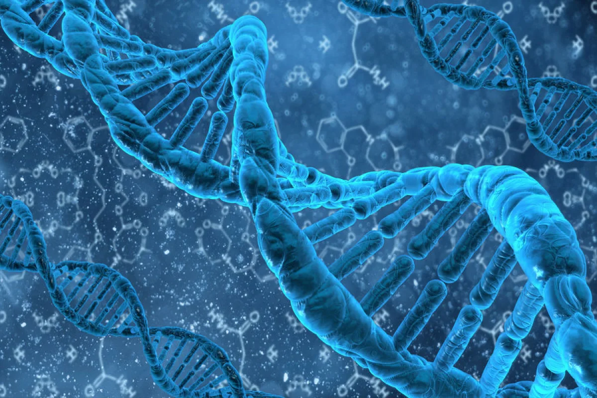 La Prima Sequenza Completa del Genoma Umano: Il Futuro della Tua Salute
