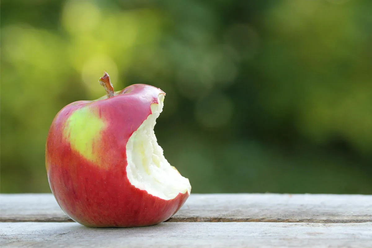 Test Visivo Personalità: Scopri se Sei una Persona Tranquilla in Pochi Secondi
